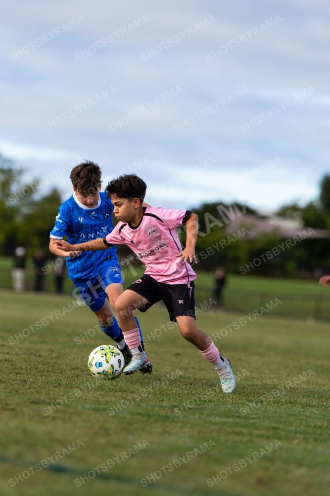 Junior Talent
