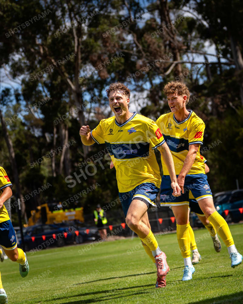Goal Celebration